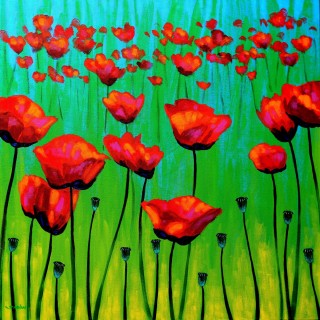 Poppy Dance - Acrylic on box canvas 28