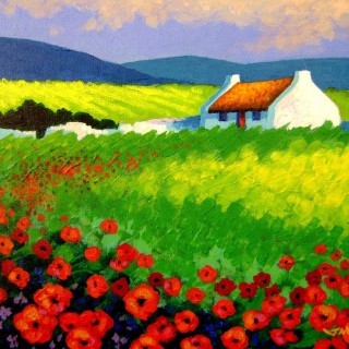 Poppy Scape Wicklow