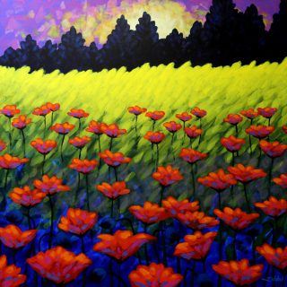 Poppy Vista - Acrylic on deep edge canvas 47