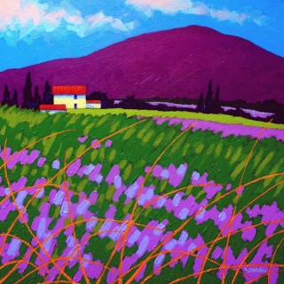 Provence 