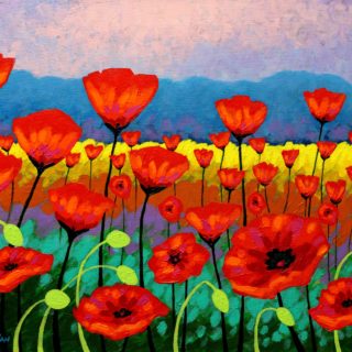 Field of  Poppies  20