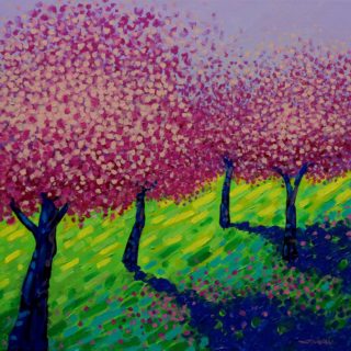 4 Cherry Blossom Trees acrylic on stretched canvas 20inches x 20inches €650 SOLD