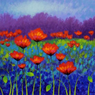 Poppy Meadow - mounted and presented with backing board in a cello bag, Print size 12