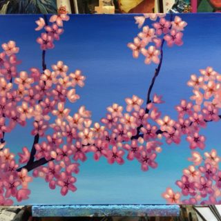 Cherry Blossoms - Project 11